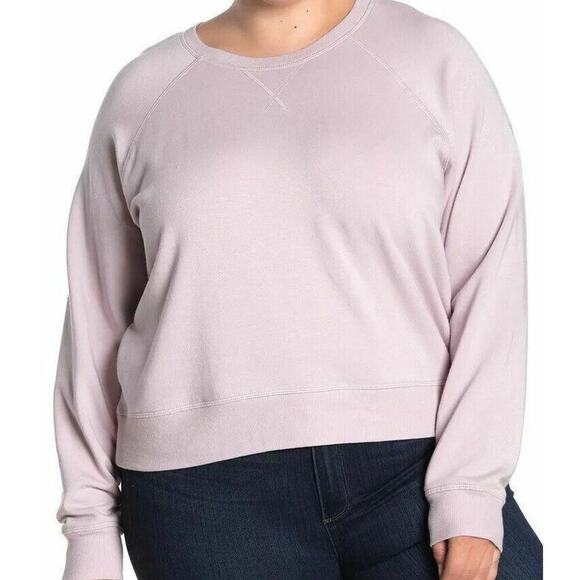 Madewell Sweatshirt Womens Plus Size 3X Solid Raglan Fleece Lined Pale Lilac New - Picture 1 of 8